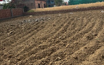 Plot at Sector 65 – for Sale