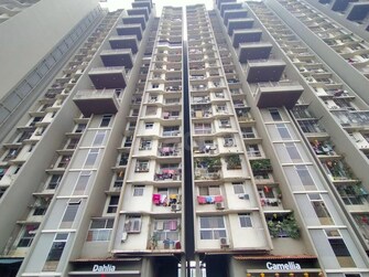 1 BHK Apartment For Rent in Jasmin Sarita CHS Dahisar West Mumbai  7952670