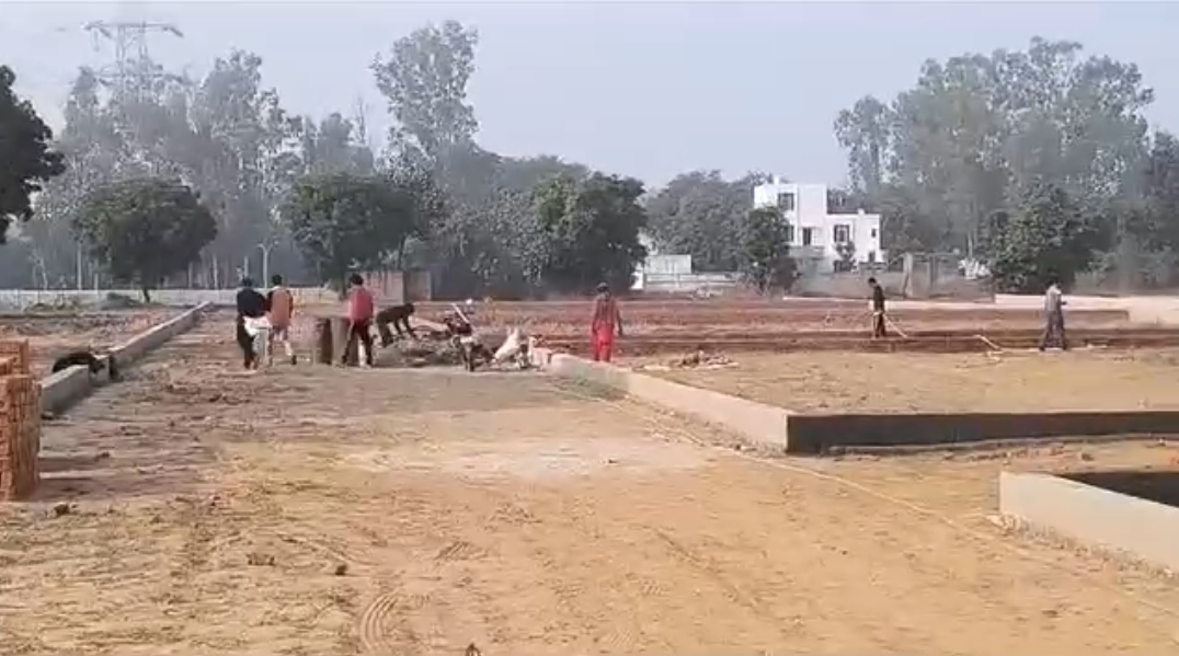 Plot For Sale in Sector 137