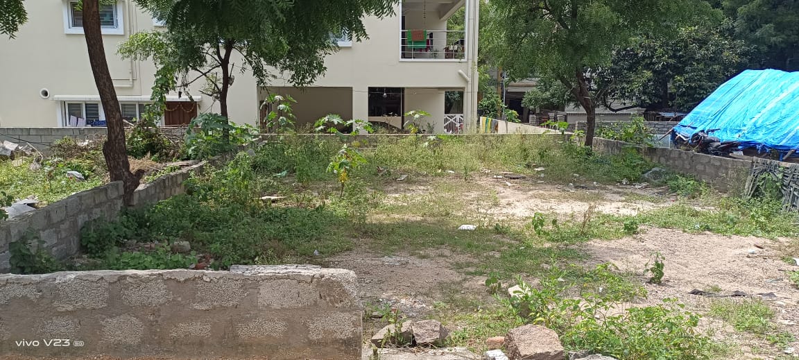 Plot For Resale in Sampangi Rama Nagar Bangalore  7677467