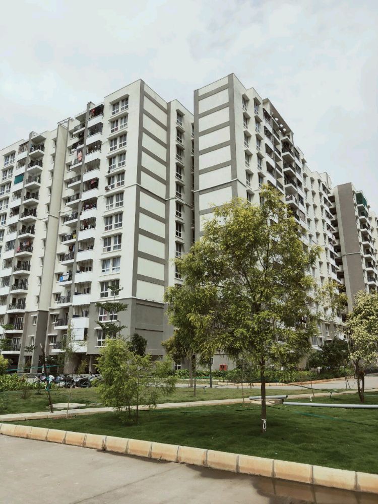 2 BHK Apartment For Resale in Sector 33 Sonipat  7808730