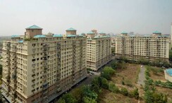 3 BHK Apartment For Sale in DLF Ridgewood Estate