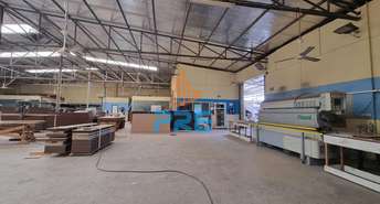 Warehouse For Rent in Ras Al Khor Industrial, Ras Al Khor, Dubai - 5035921