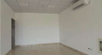 Retail Shop For Rent in Muwaileh Building, Muwaileh, Sharjah - 4850425