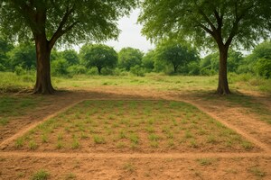   Plot at Hosur Road – for Sale