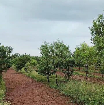  Plot at Maruthi Nagar – for Sale