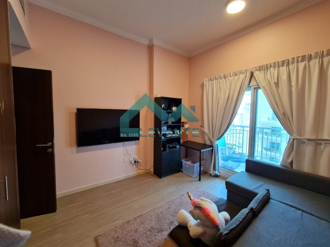 2 BR  Apartment For Sale in Queue Point, , Dubai - 4382261
