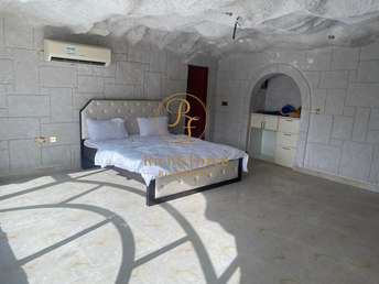 6 BR  Villa For Rent in Al Lisaili, Dubai - 5088093