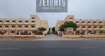 Studio  Apartment For Rent in Phase 1, Dubai Investment Park (DIP), Dubai - 4837242