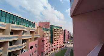 1 BR  Apartment For Rent in The Gardens, Dubai - 6613541
