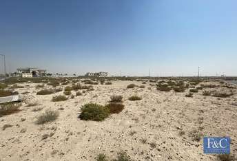 Land For Sale in Jebel Ali Hills, Jebel Ali, Dubai - 6578714