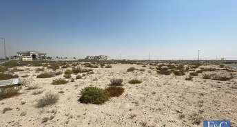 Land For Sale in Jebel Ali Hills, Jebel Ali, Dubai - 6578714