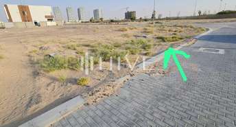 Land For Sale in DAMAC Hills 2 (Akoya by DAMAC), Dubai - 6730191
