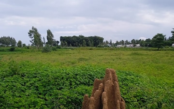 Plot at Sameera New Blossom, Thirumazhisai – for Sale