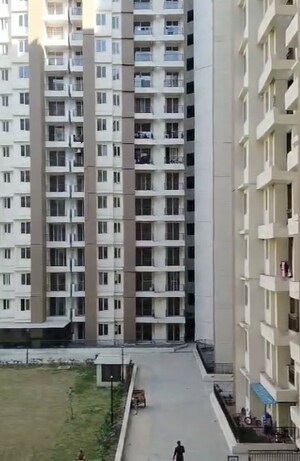  2 BHK Apartment at Amrapali Golf Homes, Sector 4 Greater Noida – for Rent