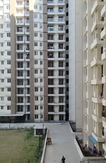  2 BHK Apartment at Amrapali Golf Homes, Sector 4 Greater Noida – for Rent
