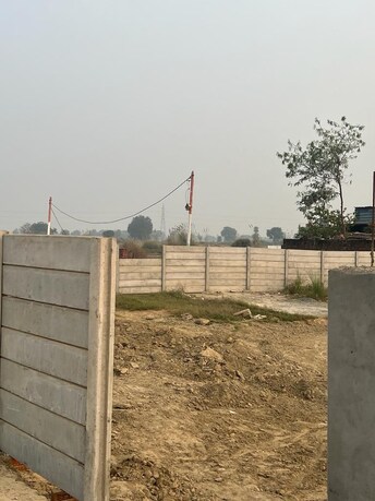 Plot For Resale in Dhakoli Village Zirakpur  7713441