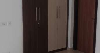 1 BHK Apartment For Rent in JSB Nakshatra Ozone Naigaon East Mumbai 6814531