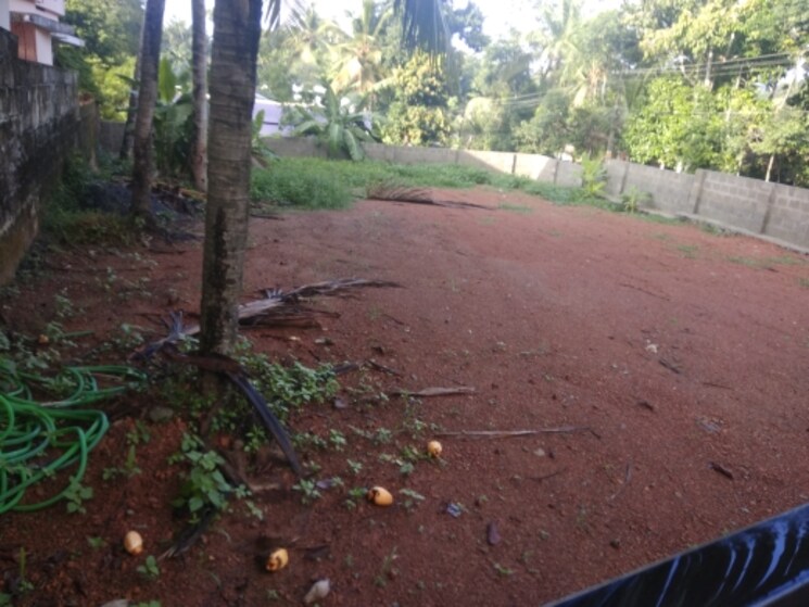 Other, chottanikkara  8250 Sq.Yd. Plot In Chottanikkara Kochi 672499