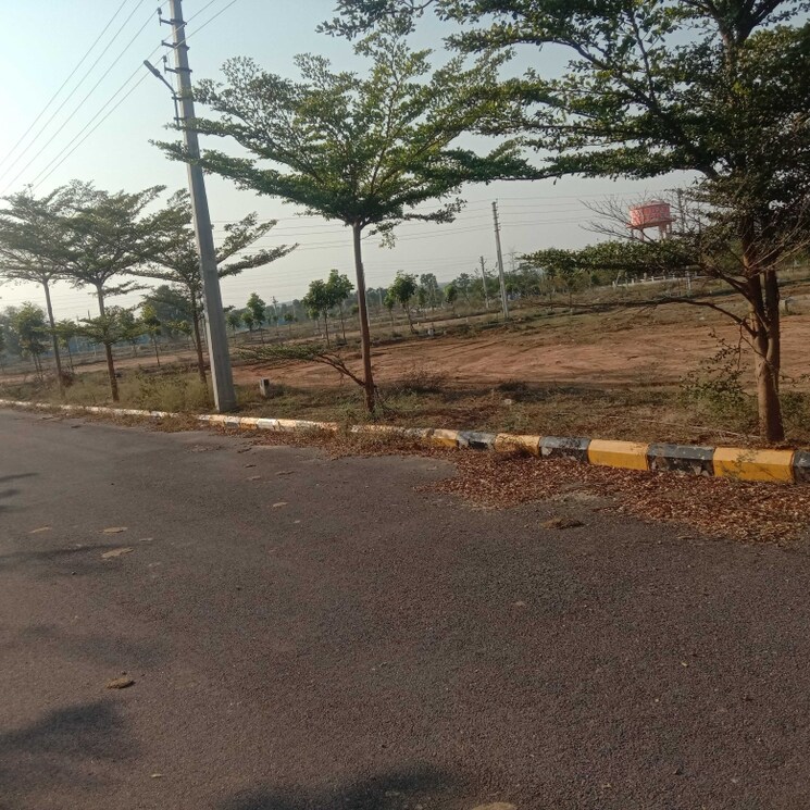 Other, shankarpalli  177 Sq.Yd. Plot In Shankarpalli Hyderabad 1868264