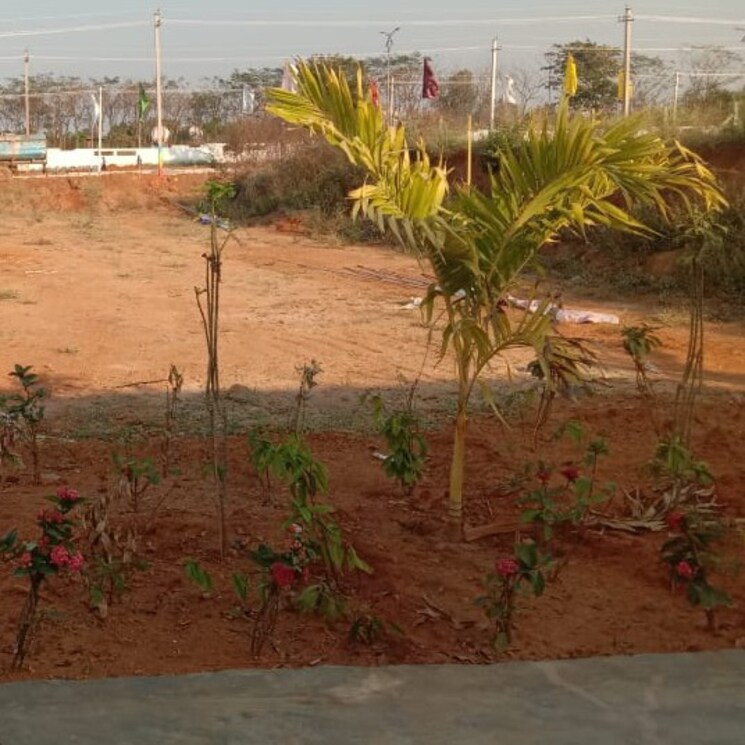 Exterior View, shankarpalli  350 Sq.Yd. Plot In Shankarpalli Hyderabad 2092985