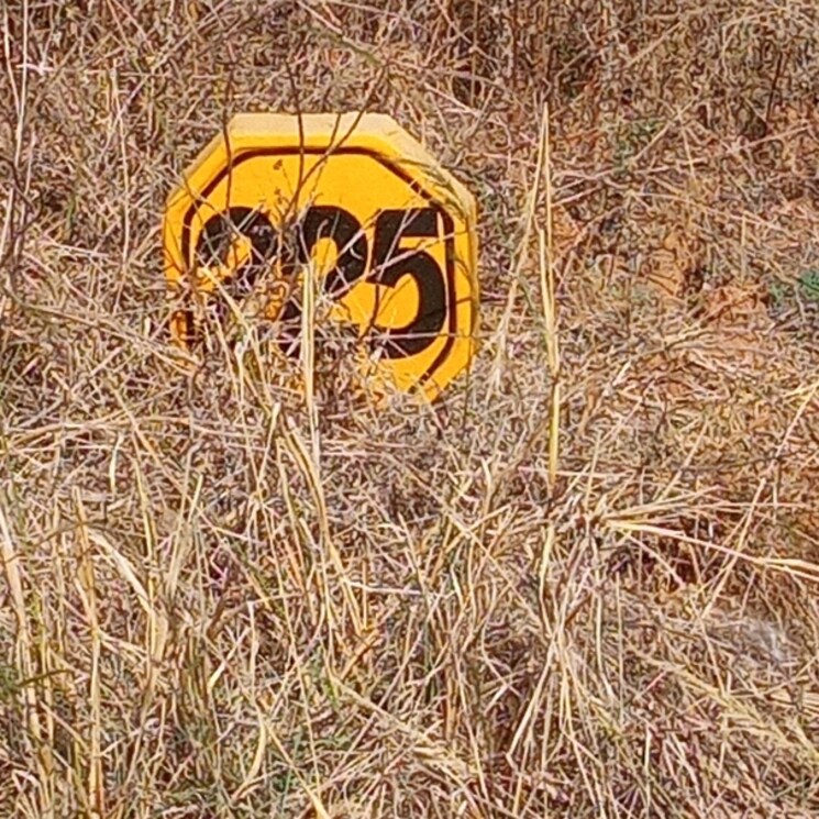 Other, vesu 3 Bedroom 1930 Sq.Ft. Apartment In Vesu Surat 2368100