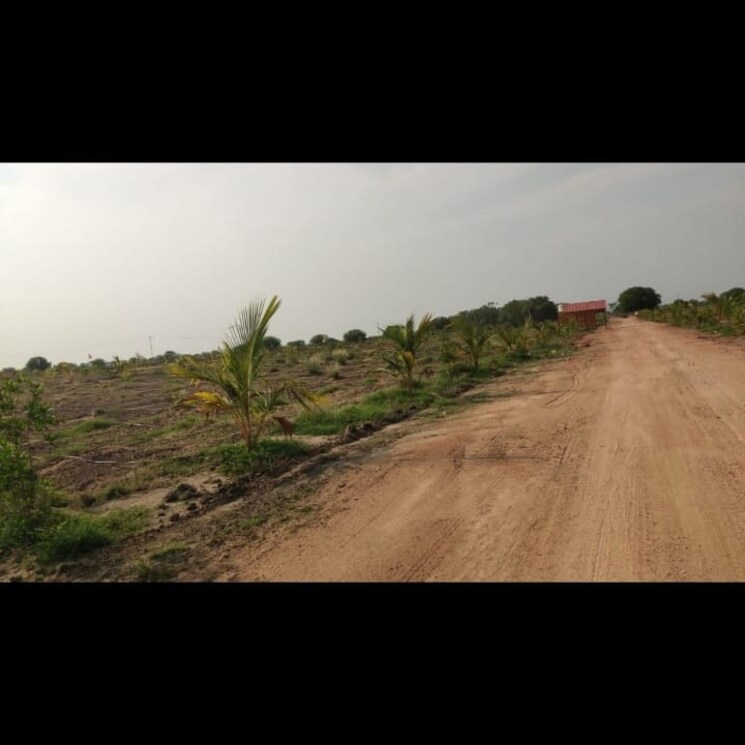 Other, addagutta  242 Sq.Yd. Plot In Addagutta Hyderabad 2614997