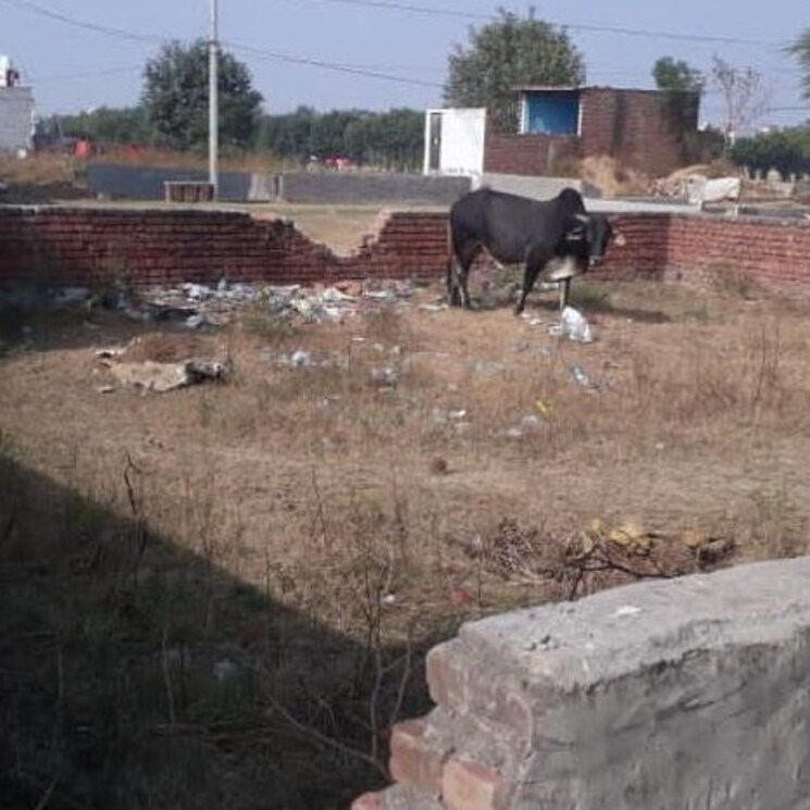 Other, knowledge park 1 greater noida  120 Sq.Mt. Plot In Knowledge Park 1 Greater Noida Greater Noida 2636421