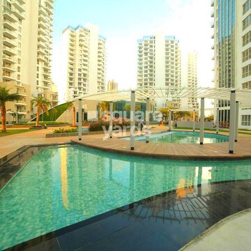 Swimming Pool in 3 BHK Apartment at M3M Merlin, Sector 67 – for Rent