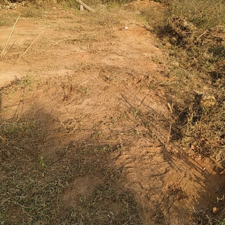 Other, narapally  150 Sq.Yd. Plot In Narapally Hyderabad 2650701