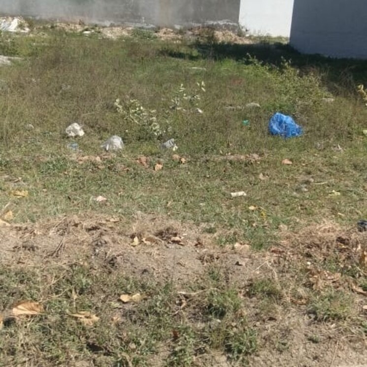 Garden, new grain market  100 Sq.Yd. Plot In New Grain Market Rohtak 2654453