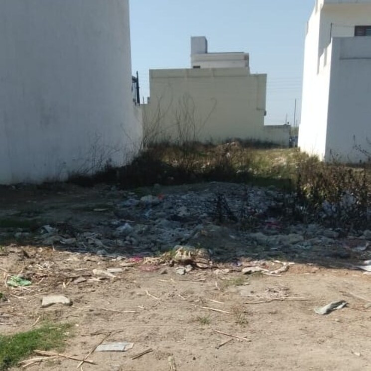 Other, new grain market  100 Sq.Yd. Plot In New Grain Market Rohtak 2654453