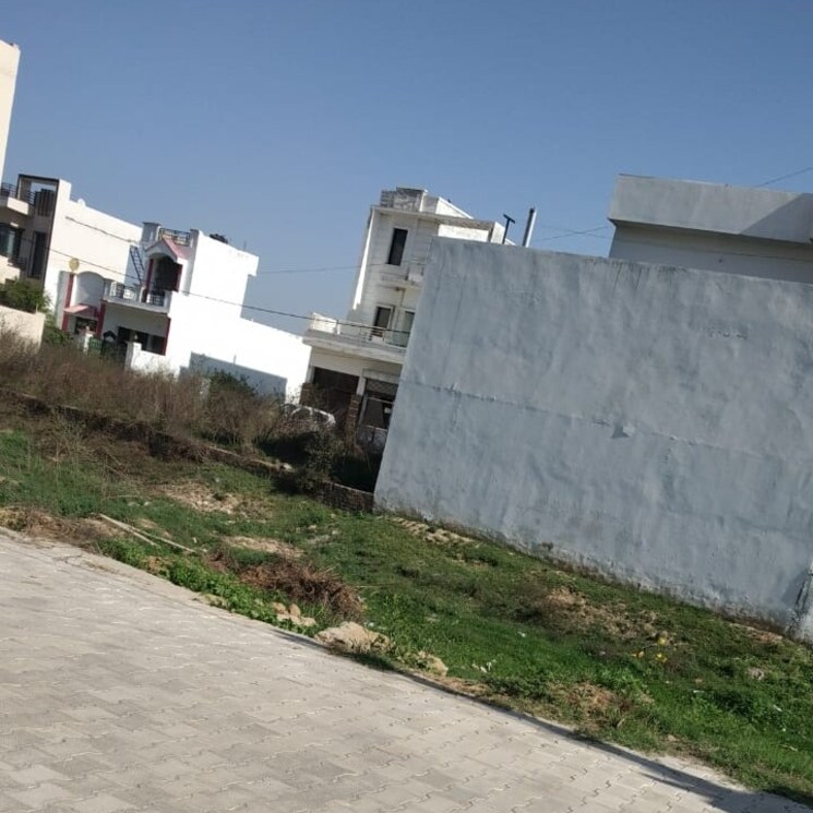 Other, new grain market  100 Sq.Yd. Plot In New Grain Market Rohtak 2654453