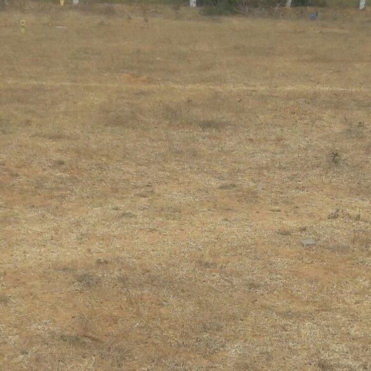 Other, shadnagar  150 Sq.Yd. Plot In Shadnagar Hyderabad 2667083