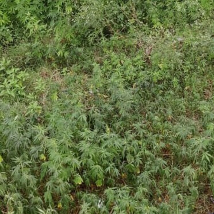 Exterior View, modinagar  86 Sq.Yd. Plot In Modinagar Ghaziabad 2690621