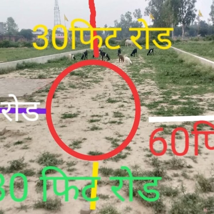 Map Location, sultanpur road  1000 Sq.Ft. Plot In Sultanpur Road Lucknow 2706036