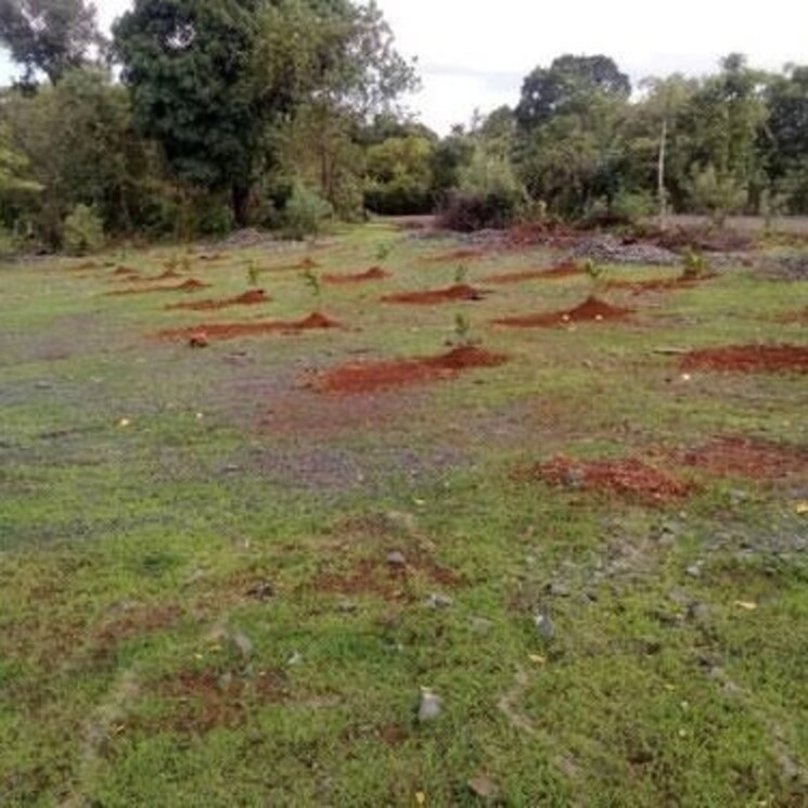 Exterior View, bhatton wala  500 Sq.Yd. Plot In Bhatton Wala Dehradun 2707804