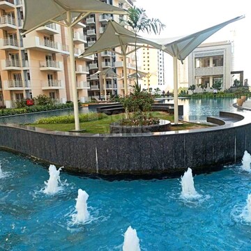 Swimming Pool in 3 BHK Apartment at M3M Marina, Sector 68 – for Rent