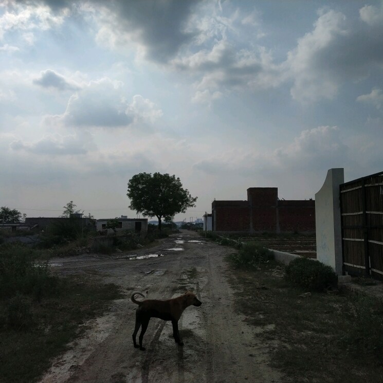 Other, sector 91  154 Sq.Yd. Plot In Sector 91 Faridabad 2734379