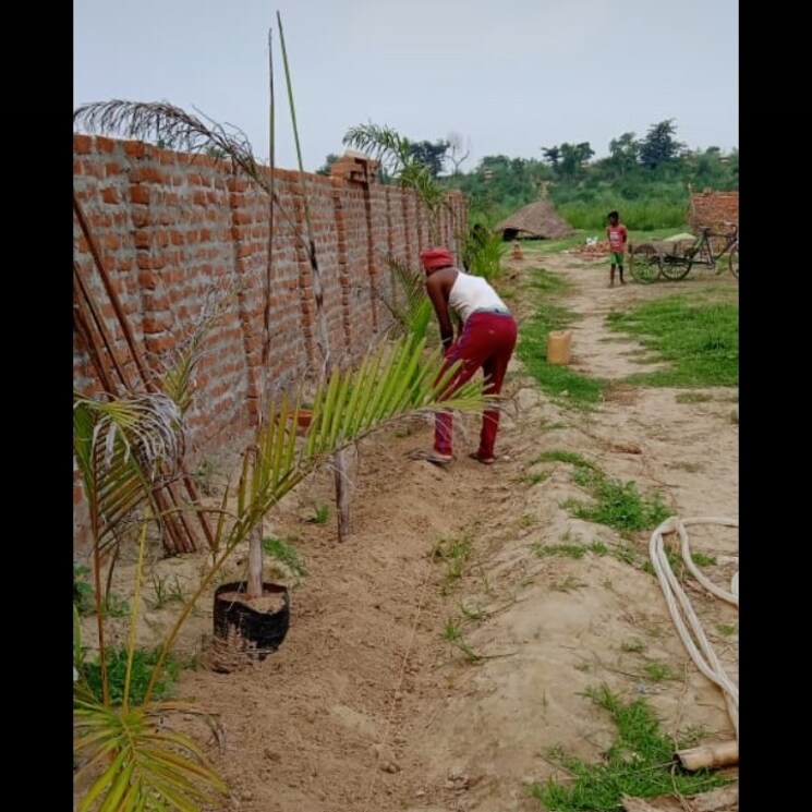 Garden, sultanpur road  3000 Sq.Ft. Plot In Sultanpur Road Lucknow 2734797