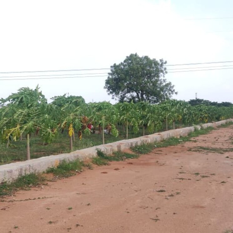 Exterior View, snm-cyber-residency  180 Sq.Yd. Plot In Kadthal Hyderabad 2739164