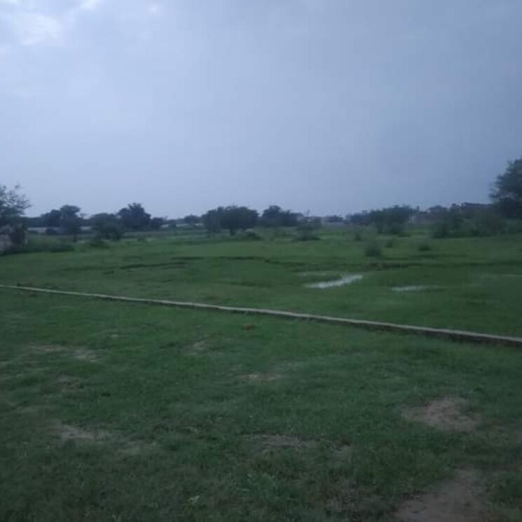 Other, neelendras-amity-greens  1000 Sq.Ft. Plot In Gomati Nagar Lucknow 2744961