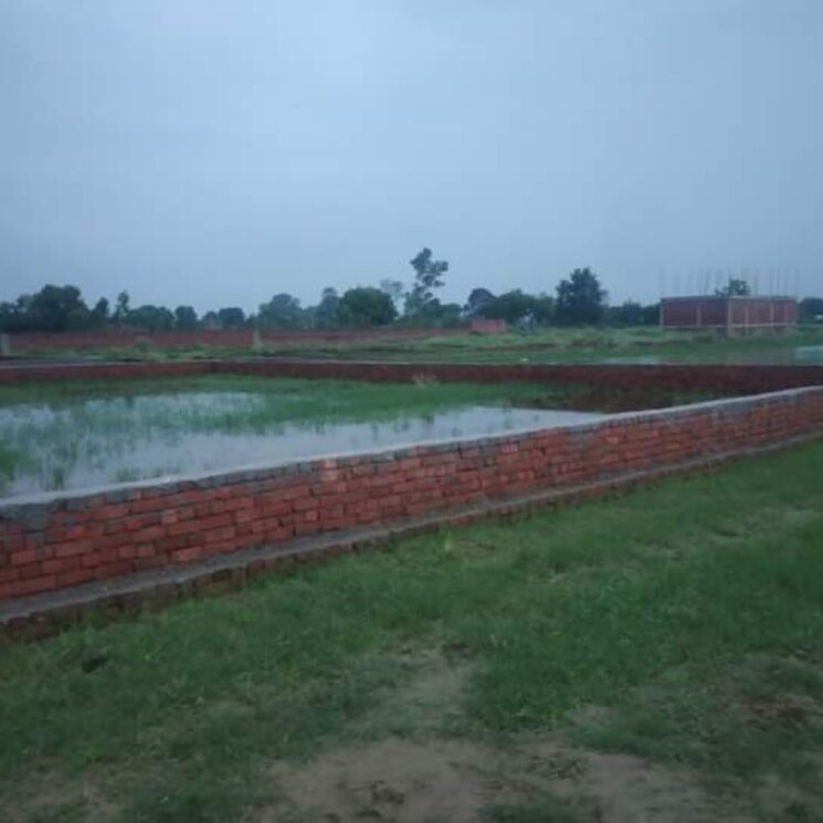 Other, neelendras-amity-greens  1000 Sq.Ft. Plot In Gomati Nagar Lucknow 2744961