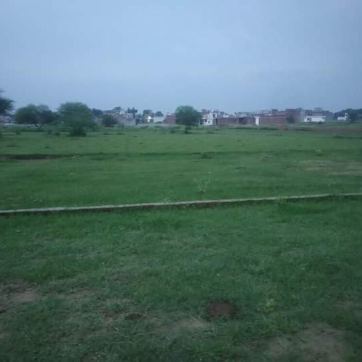Other, neelendras-amity-greens  1000 Sq.Ft. Plot In Gomati Nagar Lucknow 2744961
