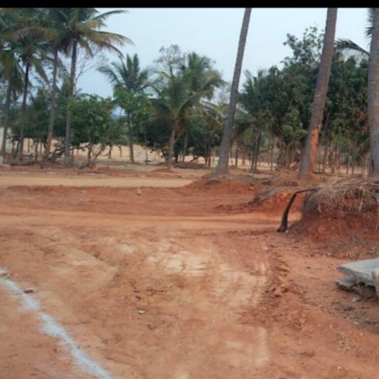 Other, mysore road  1200 Sq.Ft. Plot In Mysore Road Bangalore 2753788