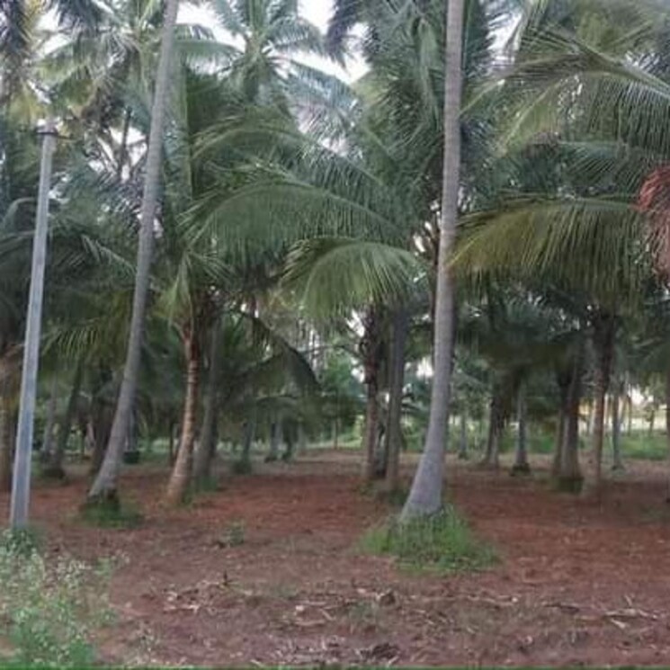 Exterior View, skanda-prakriti Commercial Land 1 Acre In Marathahalli Bangalore 2757443