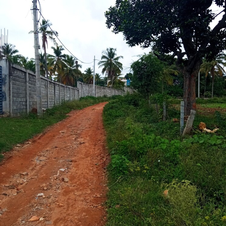 Exterior View, vishweshwaraiah layout  1200 Sq.Ft. Plot In Vishweshwaraiah Layout Bangalore 2759515