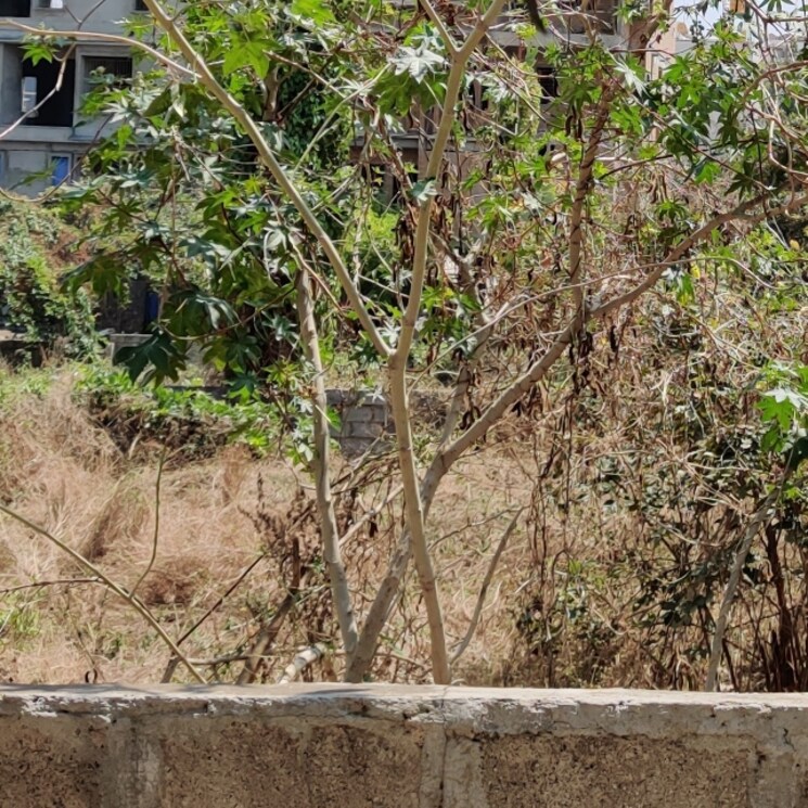 Other, yelachenahalli  1200 Sq.Yd. Plot In Yelachenahalli Bangalore 2784931