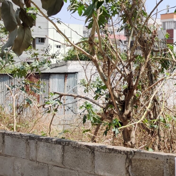Exterior View, yelachenahalli  1200 Sq.Yd. Plot In Yelachenahalli Bangalore 2784931