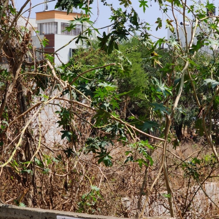 Other, yelachenahalli  1200 Sq.Yd. Plot In Yelachenahalli Bangalore 2784931